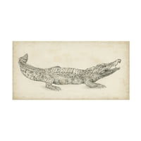 Итън Харпър' Крокодил Скица ' Платно Изкуство