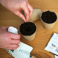 Ферибот-Морс Сеят Лесно Зеле Премиум Плоски Холандски Зеленчукови Семена-Семена Градинарство Слънце