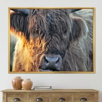 Дизайнарт 'близък план на Шотландската крава на тресавището' Ферма рамка платно стена арт принт