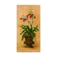 Търговска марка изобразително изкуство 'Орхидея Възраждане 2' платно изкуство от Барбара МОК